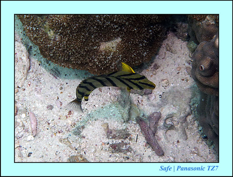 2011 - 07 - Koh Lipe 30